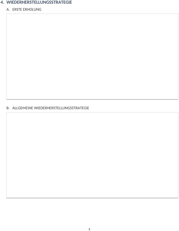 it-service-notfallplan-word-de