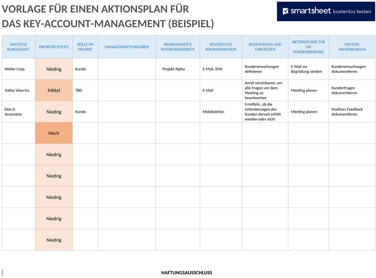 key-account-management-aktionsplan-beispiel