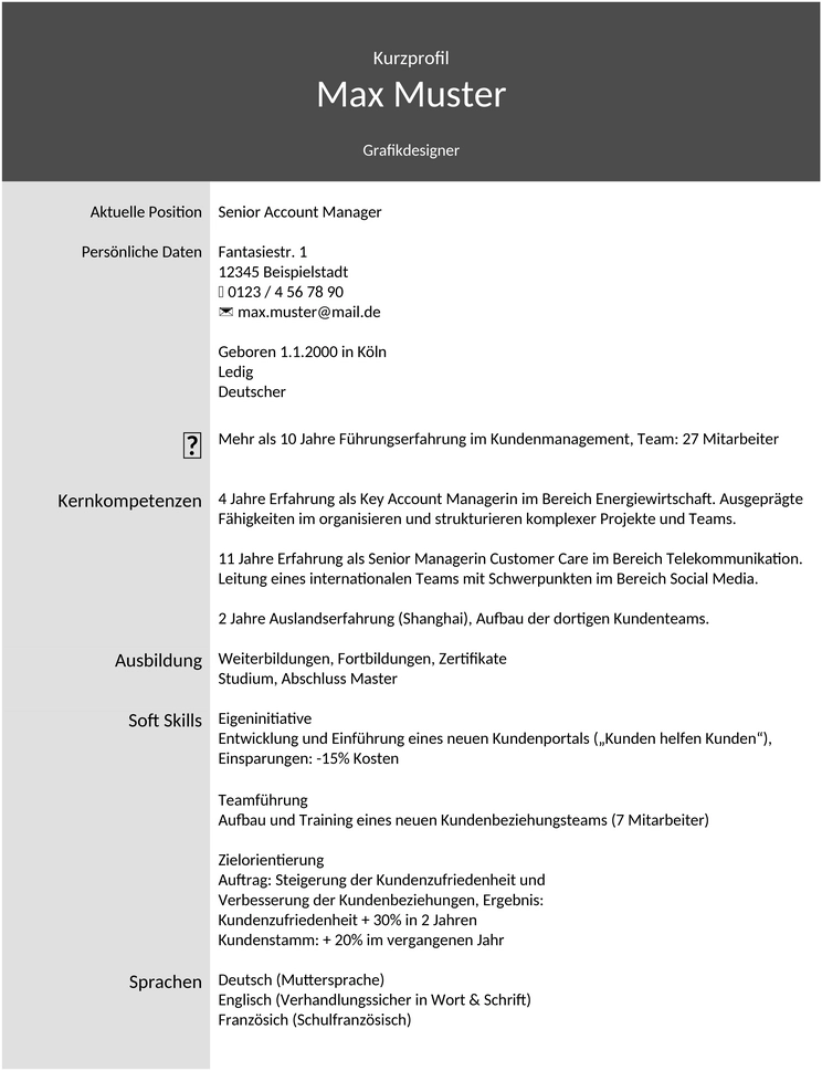 kurzprofil-mustervorlage-design-02