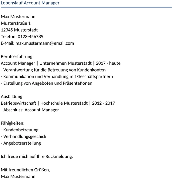 lebenslauf-account-manager