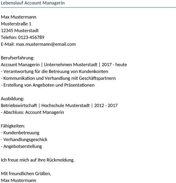 lebenslauf-account-managerin