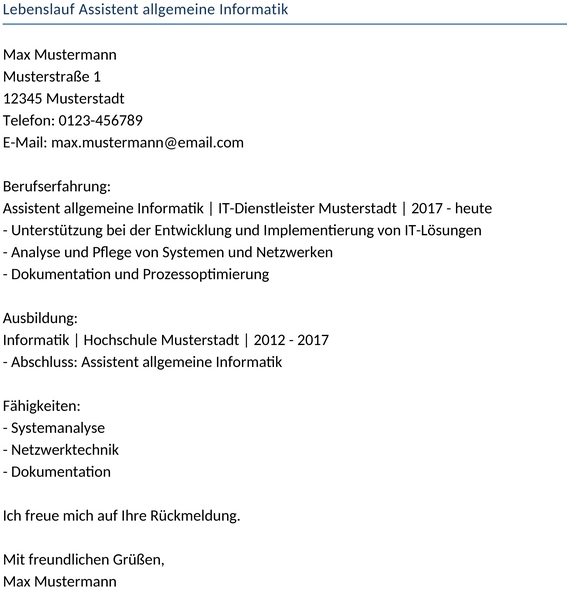 lebenslauf-assistent-allgemeine-informatik