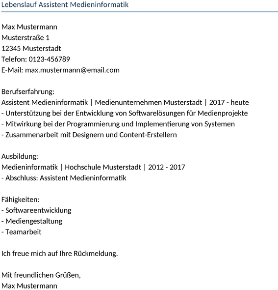 lebenslauf-assistent-medieninformatik
