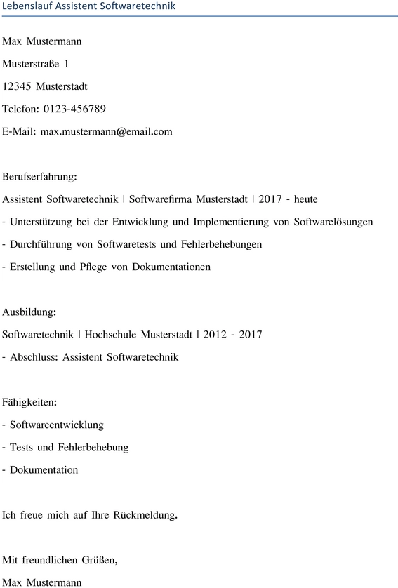 lebenslauf-assistent-softwaretechnik