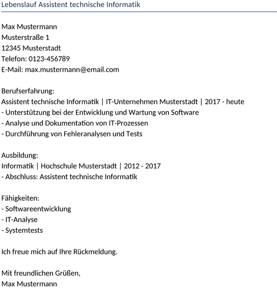 lebenslauf-assistent-technische-informatik