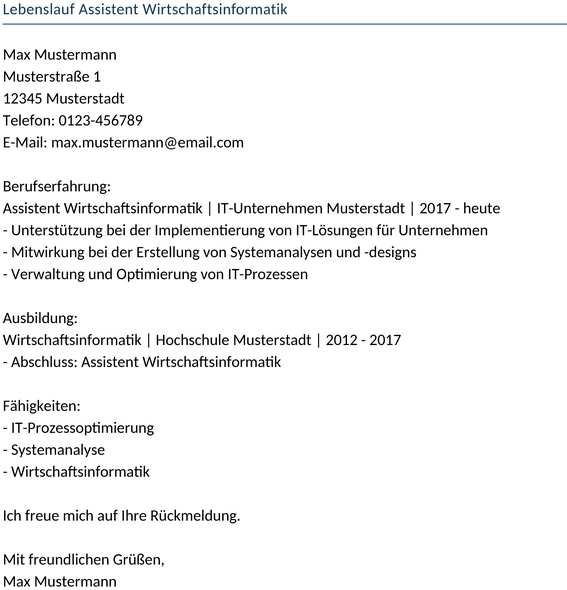lebenslauf-assistent-wirtschaftsinformatik