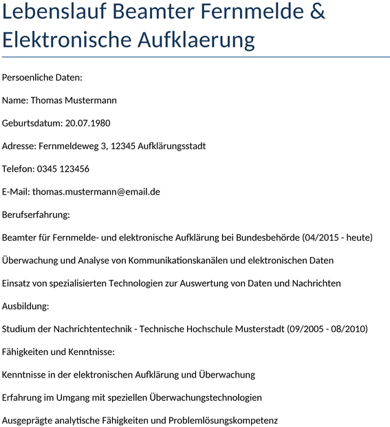 lebenslauf-beamter-fernmelde-elektronische-aufklaerung