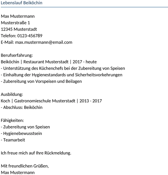 lebenslauf-beikoechin