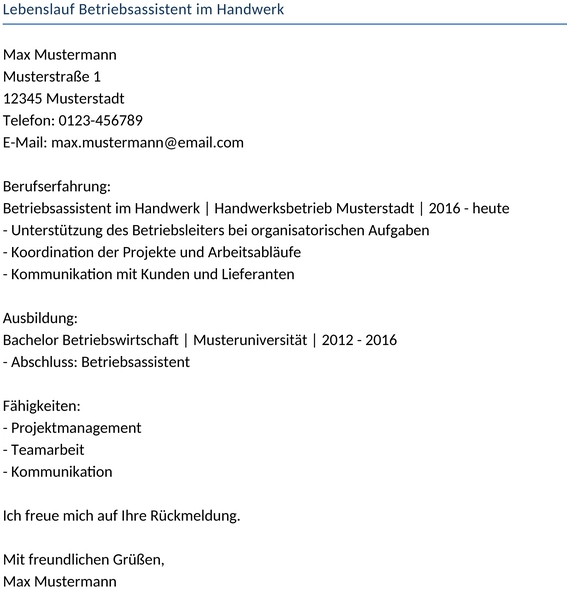 lebenslauf-betriebsassistent-im-handwerk