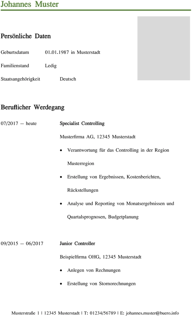 lebenslauf-controller-aktuelle-berufserfahrung-und-qualifikationen