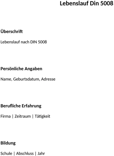 lebenslauf-din-5008