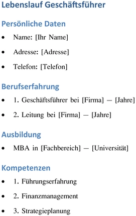 lebenslauf-geschaeftsfuehrer-vorlage-optimiert