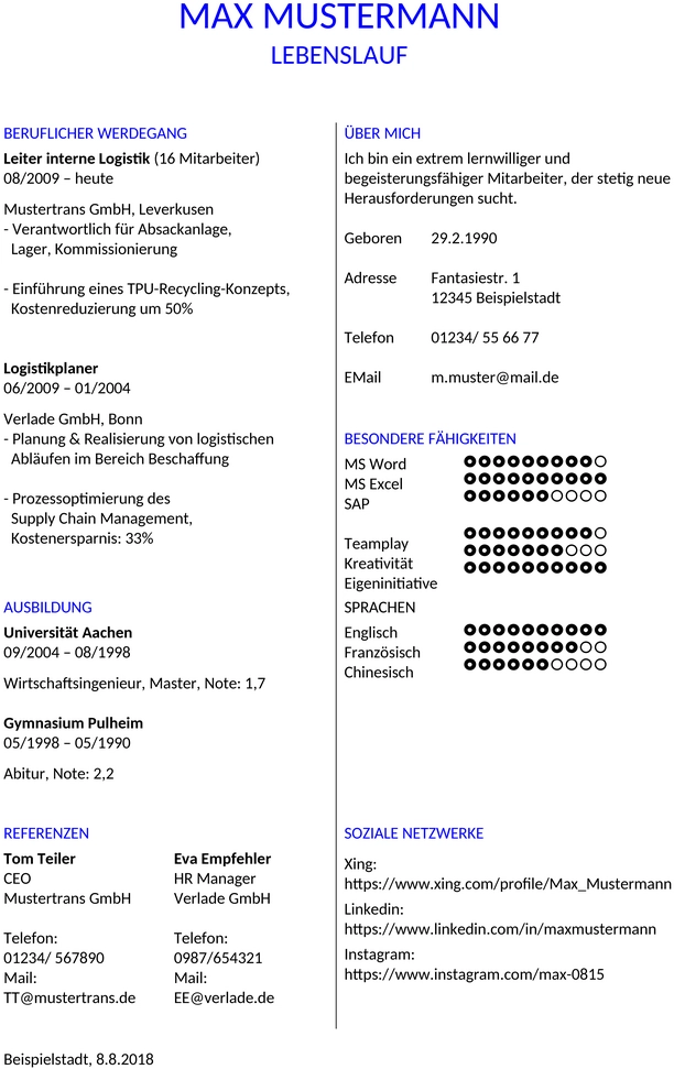 lebenslauf-international-ohne-foto-vorlage-word