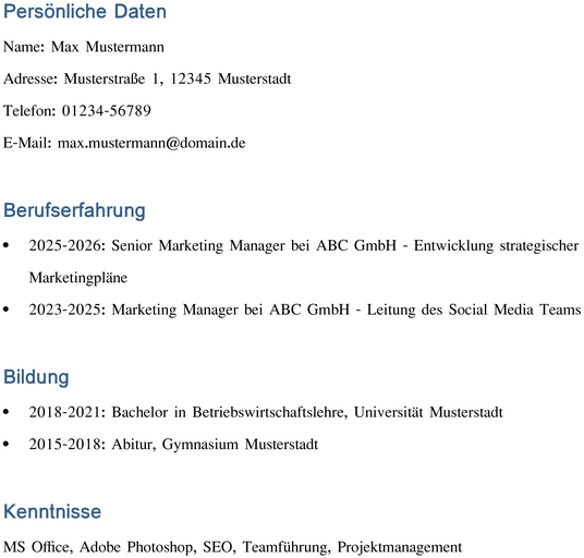lebenslauf-marketing-personalmanagement-vorlage