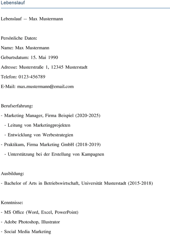 lebenslauf-mit-berufserfahrung-und-qualifikationen