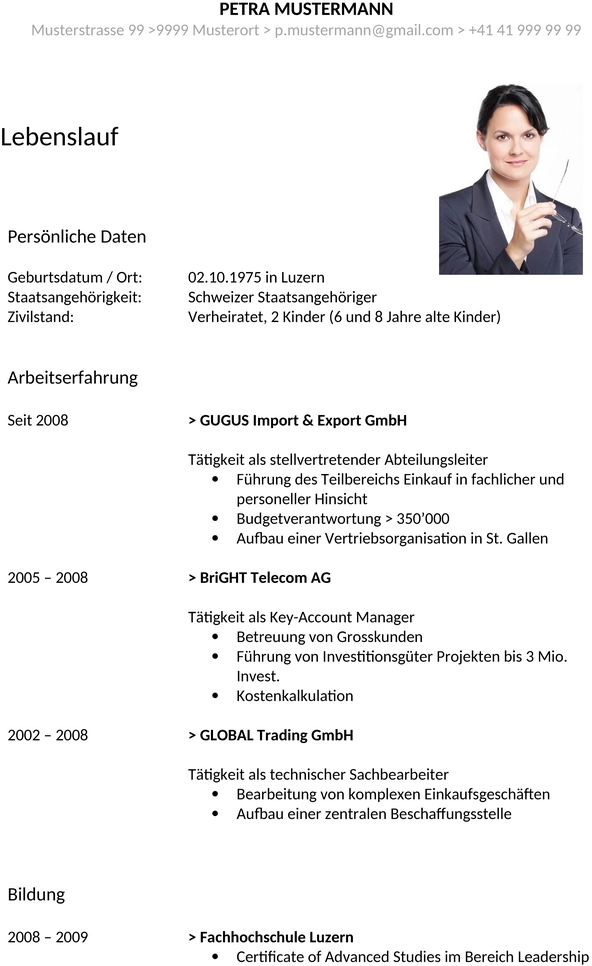 lebenslauf-modern-vorlage