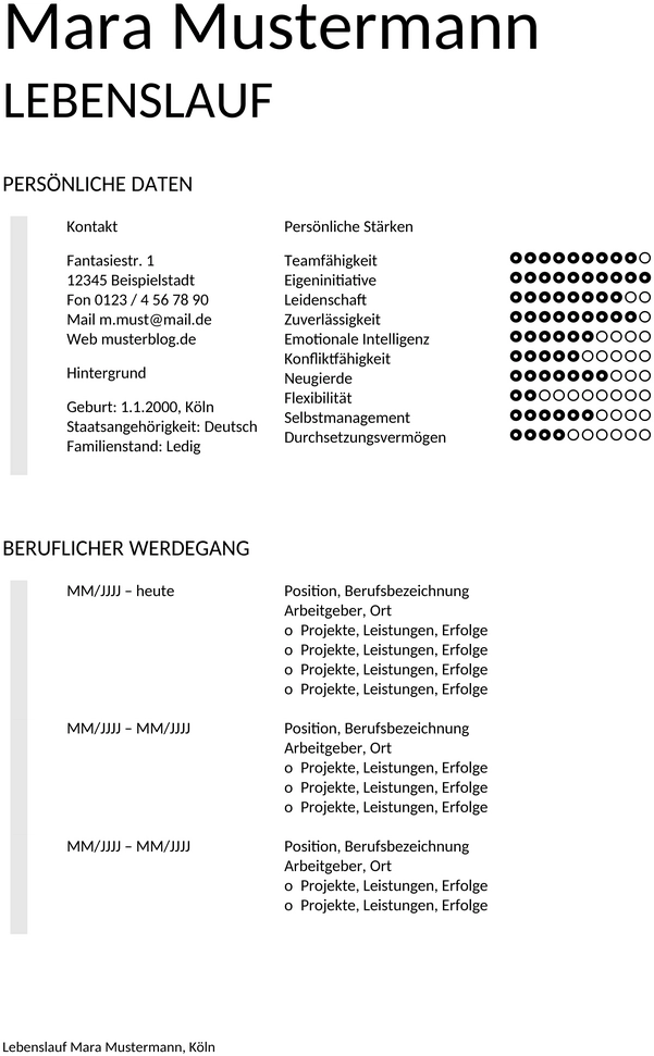 lebenslauf-ohne-foto-muster-vorlage-04