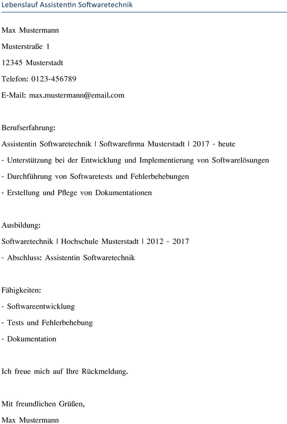 lebenslauf-softwaretechniker-assistent-berufserfahrung-ausbildung-fähigkeiten