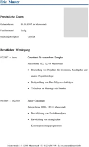 lebenslauf-vorlage-consulting-berufliche-erfahrung-qualifikationen