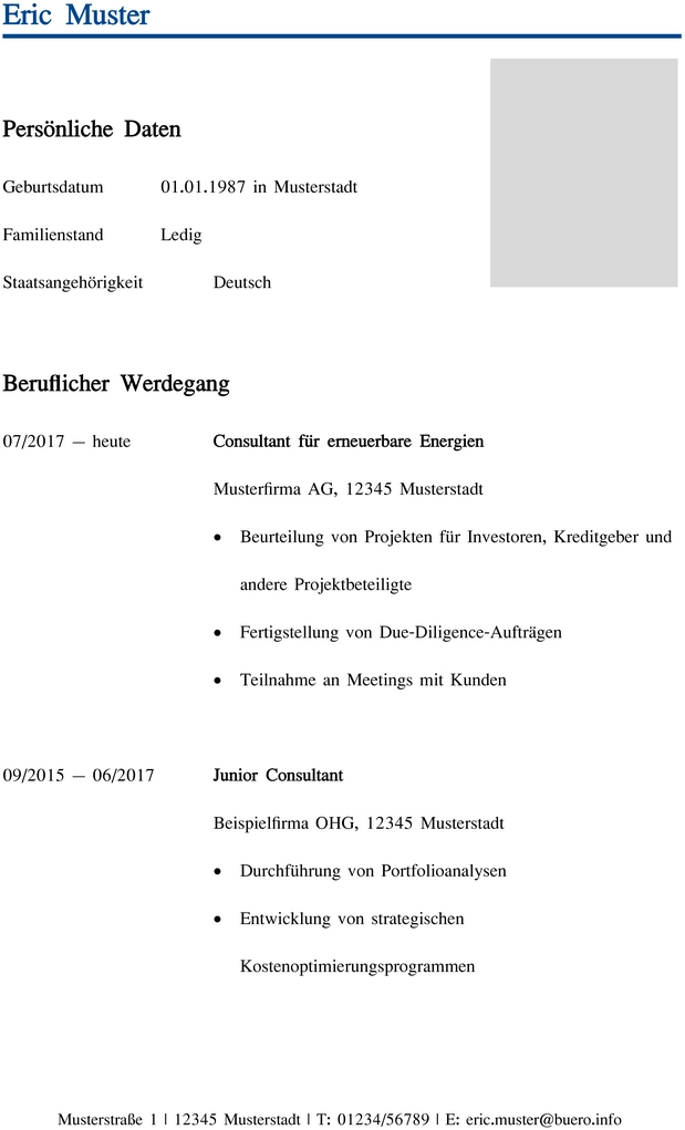 lebenslauf-vorlage-consulting-berufliche-erfahrung-qualifikationen