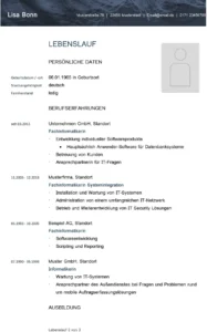 lebenslauf-vorlage-fachinformatiker-it-professionals
