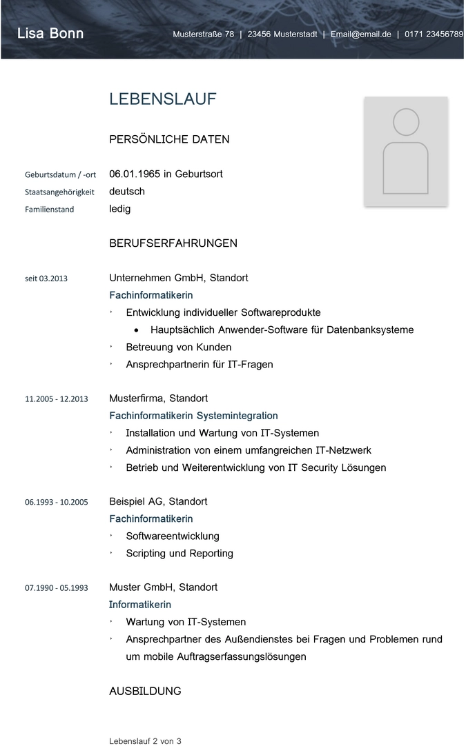 lebenslauf-vorlage-fachinformatiker-it-professionals