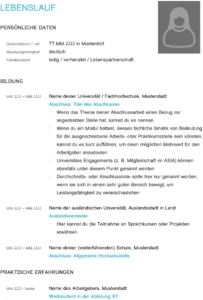 lebenslauf-vorlage-fuer-schule-und-studium