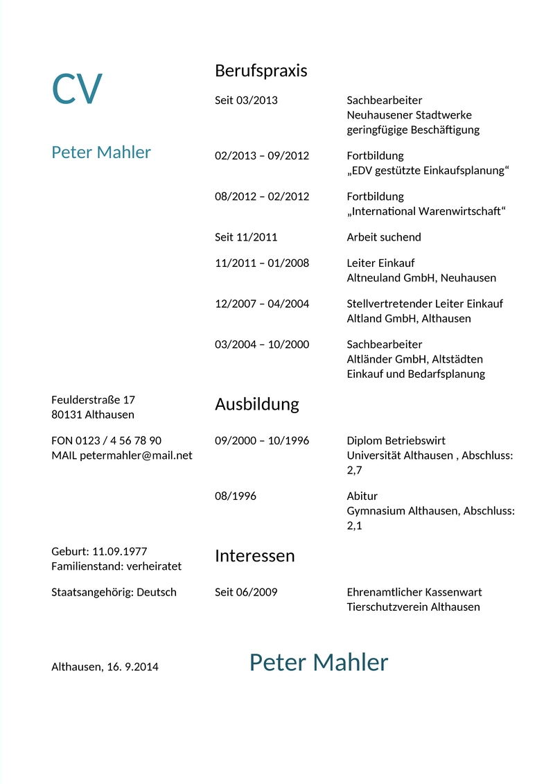 lebenslauf-vorlage-professionell-word