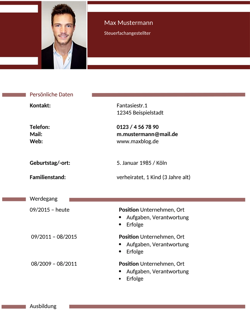 lebenslauf-vorlage-professionell-word