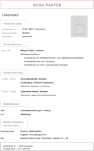 lebenslauf-vorlage-softwareentwickler-muster