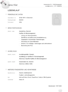 lebenslaufvorlage-fuer-bewerbung-und-berufliche-entwicklung