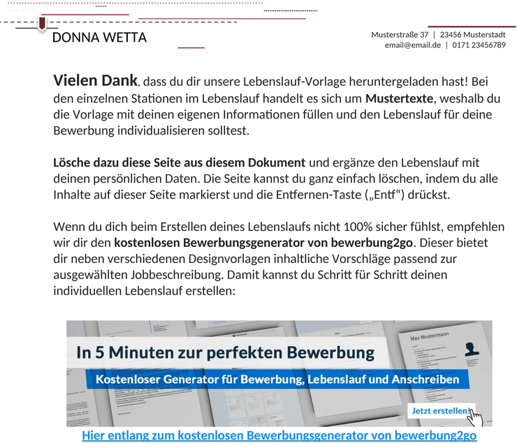 lebenslaufvorlage-intellektuell