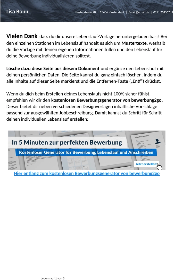 lebenslaufvorlage-loesungsorientiert