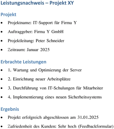 leistungsnachweis-it-projekt-unternehmer-dokumentation-ergebnisse-optimierung