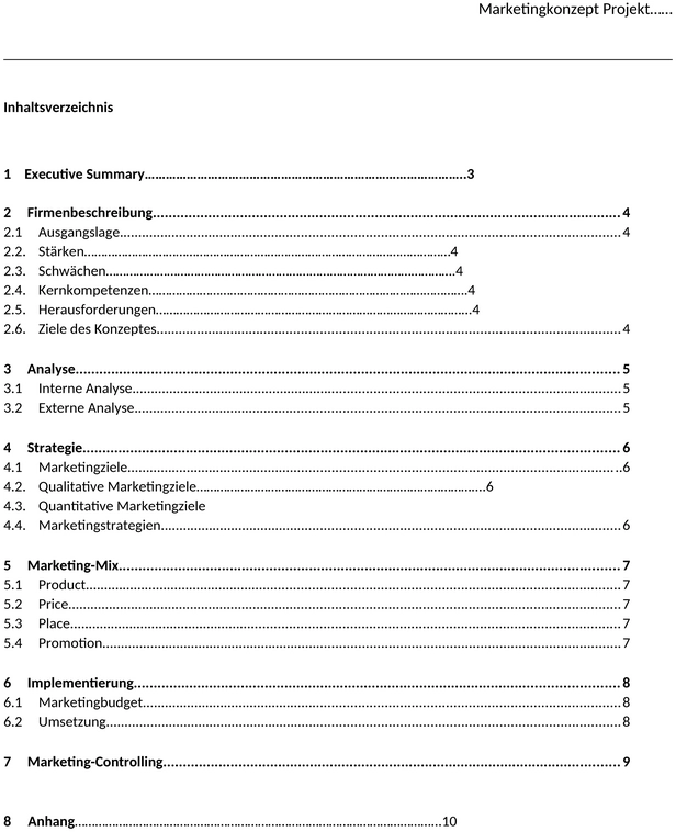 marketingkonzept-beispiel-vorlage