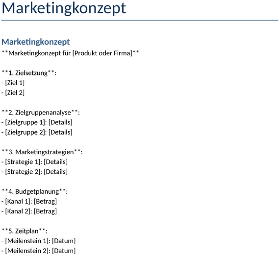 marketingkonzept-vorlage