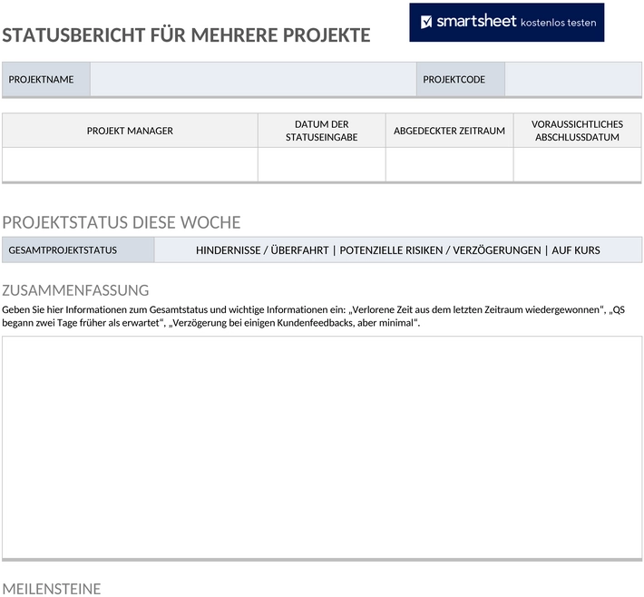 mehrfach-projekt-status-bericht-word