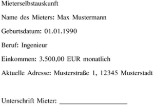 mieterselbstauskunft-vorlage-fuer-vermoegensueberpruefung-und-transparente-daten
