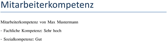 mitarbeiterkompetenz-vorlage-fuer-personal-und-hr