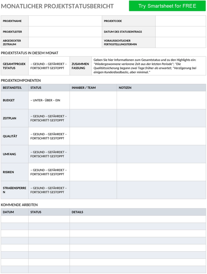 monatlicher-projektstatus-bericht-word-de