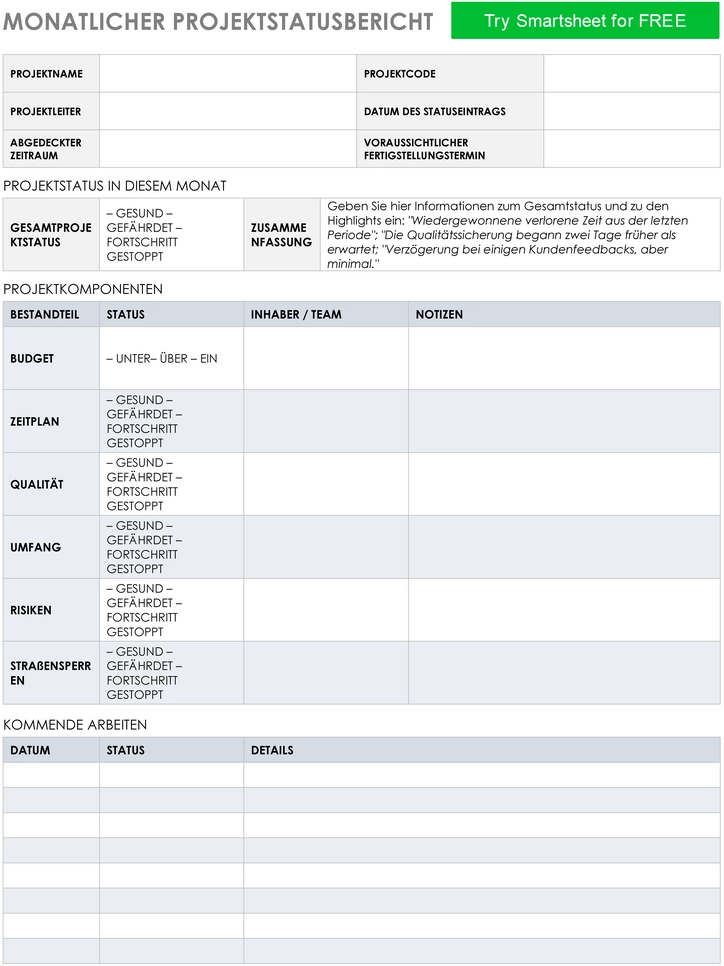 monatlicher-projektstatusbericht-vorlage