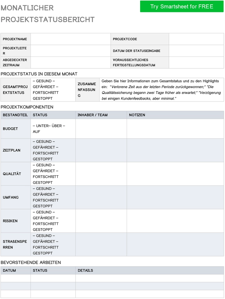 monatlicher-projektstatusbericht-vorlage-word