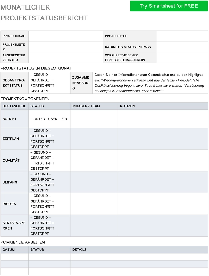 monatlicher-projektstatusbericht-vorlage