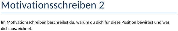 motivationsschreiben-vorlage-2