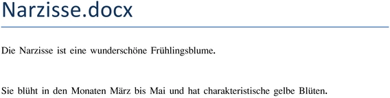 narzisse-ist-eine-wunderschoene-fruehlingsblume