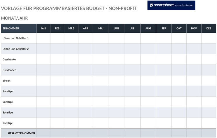 nonprofit-programmbasiertes-budget-plan