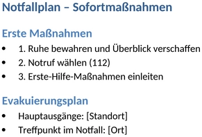 notfallplan-checkliste