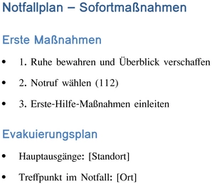 notfallplan-sofortmassnahmen-evakuierungsanweisungen-dokument
