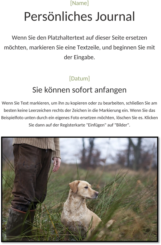persoenliches-tagebuch