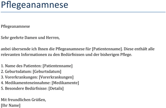 pflegeanamnese-fuer-patienteninformationen-gesammelt